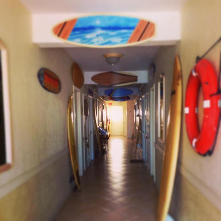 Surf Inn Hotel Hollywood Camera foto